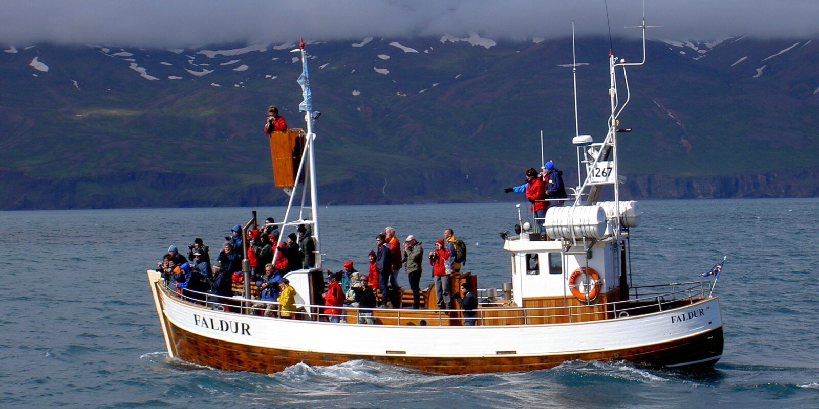 Whale Watching in Húsavík